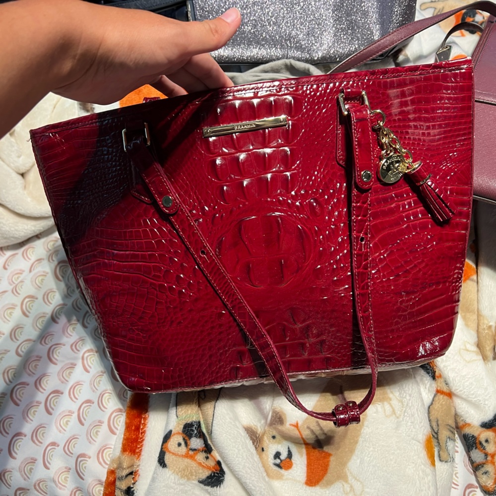 Ruby red Brahmin purse